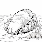Hermit Crab and Sea Anemone Coloring Pages 2