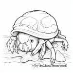 Hermit Crab Cartoon Design Coloring Pages 3