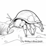 Hermit Crab Cartoon Design Coloring Pages 4