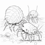 Hermit Crab Family Coloring Pages: Adult and Baby Crabs 2