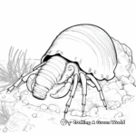 Hermit Crab in Natural Habitat Coloring Pages 2