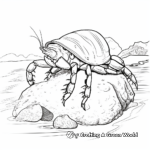 Hermit Crab in Natural Habitat Coloring Pages 3