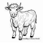 Highland Cow Coloring Pages for All Ages 1