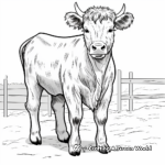 Highland Cow Coloring Pages for All Ages 3