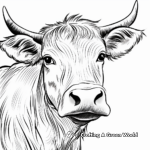 Highland Cow Head Close-up Coloring Pages 1