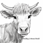 Highland Cow Head Close-up Coloring Pages 2