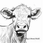 Highland Cow Head Close-up Coloring Pages 3