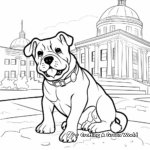 Historical University of Georgia Bulldog Coloring Pages 1