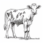 Holstein Breed Cow Coloring Pages 1