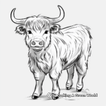 Horned Highland Cow Coloring Pages 1