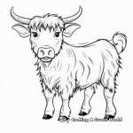 Horned Highland Cow Coloring Pages 3