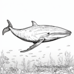 Humpback Whale Migration Coloring Pages 1