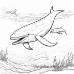 Humpback Whale Migration Coloring Pages 2