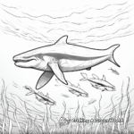 Humpback Whale Migration Coloring Pages 4