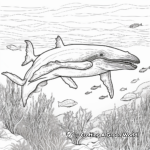 Humpback Whale with Coral Reef Background Coloring Pages 3