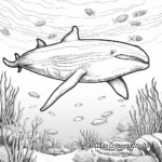 Humpback Whale with Coral Reef Background Coloring Pages 4