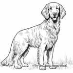 Iconic Irish Setter St. Patrick's Day Coloring Pages 4