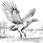 In-flight Wild Turkey Coloring Pages 2