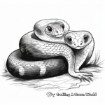Incredible Anaconda Snake Coloring Pages 2