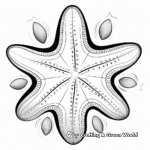 Incredible Oceanic Starfish Coloring Pages 1