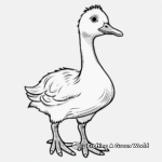 Indian Runner Duck Coloring Pages 1