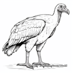 Indian White-rumped Vulture Coloring Sheets 2