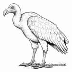 Indian White-rumped Vulture Coloring Sheets 3