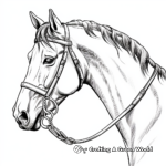 Inspirational Clydesdale Horse Head Coloring Pages 2