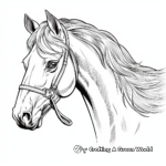 Inspirational Clydesdale Horse Head Coloring Pages 4