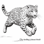 Intense Leaping Snow Leopard Coloring Pages 2