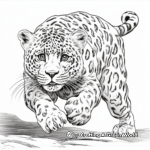 Intense Leaping Snow Leopard Coloring Pages 4