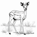 Interesting Antelope Coloring Pages 2