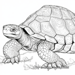 Intricate Aldabra Giant Tortoise Coloring Pages 1