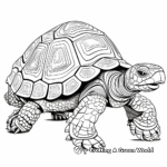 Intricate Aldabra Giant Tortoise Coloring Pages 2