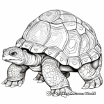Intricate Aldabra Giant Tortoise Coloring Pages 3