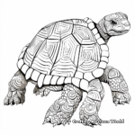 Intricate Aldabra Giant Tortoise Coloring Pages 4