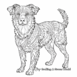Intricate Border Collie Coloring Pages 3