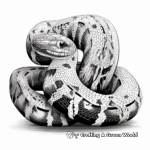 Intricate Common Boa Constrictor Coloring Pages 2