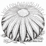 Intricate Design Sea Urchin Coloring Pages for Adults 2