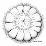 Intricate Design Sea Urchin Coloring Pages for Adults 3
