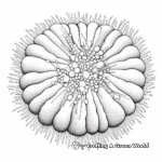 Intricate Design Sea Urchin Coloring Pages for Adults 4