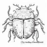 Intricate Dung Beetle Coloring Pages 3