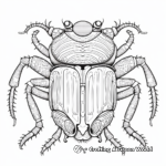 Intricate Dung Beetle Coloring Pages 4