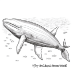Intricate Humpback Whale Patterns Coloring Pages 1