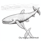 Intricate Humpback Whale Patterns Coloring Pages 2