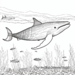 Intricate Humpback Whale Patterns Coloring Pages 3