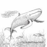 Intricate Humpback Whale Patterns Coloring Pages 4