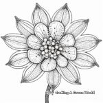 Intricate Kangaroo Paw Flower Coloring Pages 1