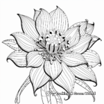 Intricate Kangaroo Paw Flower Coloring Pages 2