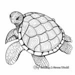 Intricate Loggerhead Turtle Shell Coloring Pages 1
